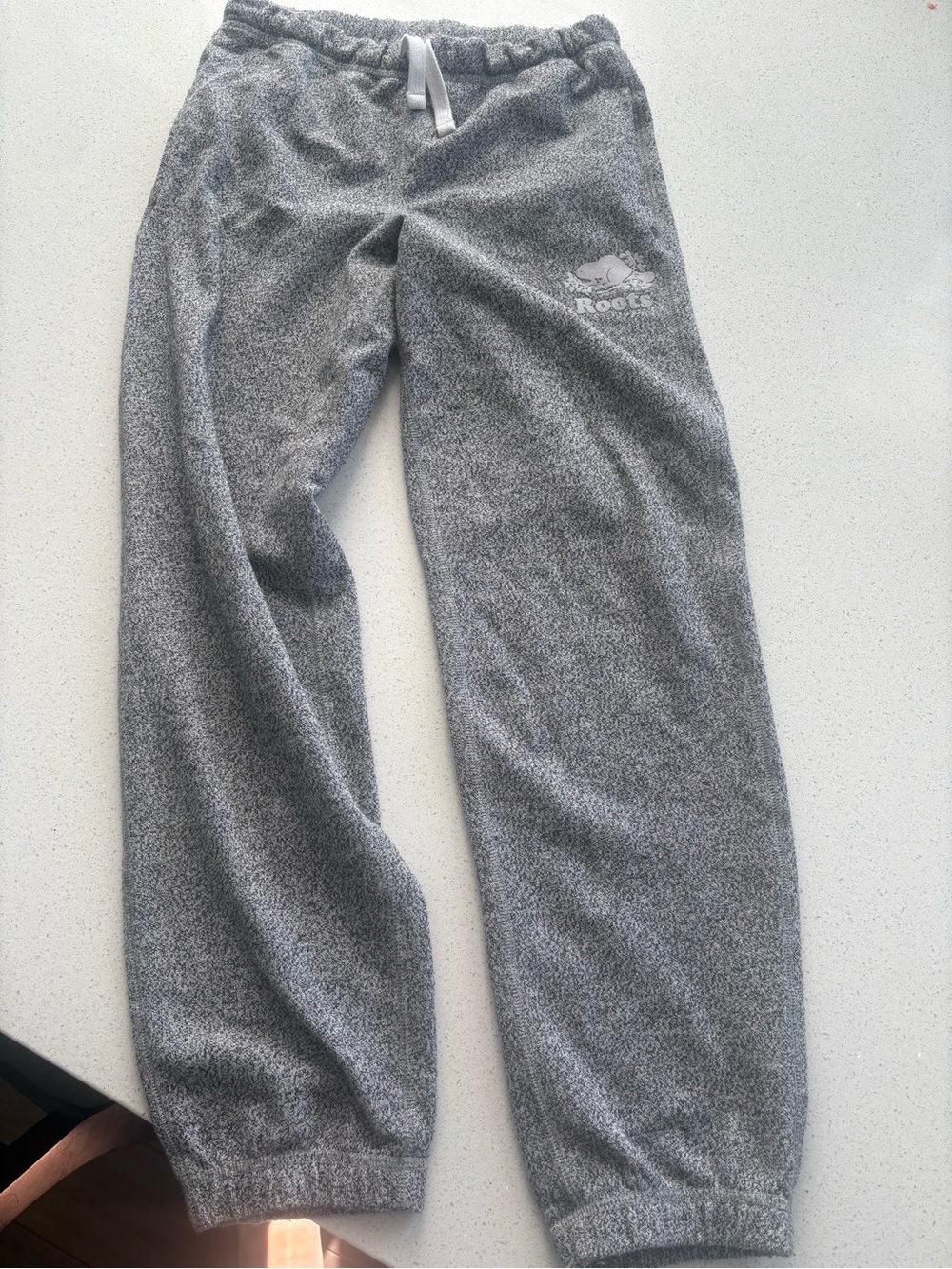 Roots Youth Heather Gray Logo Joggers - Picture 5 of 5